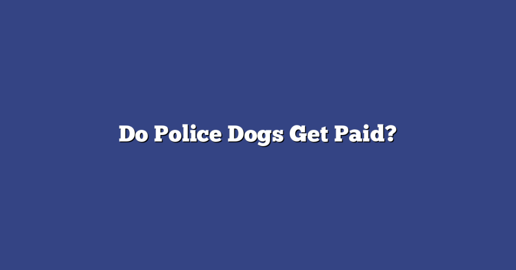 Do Dogs Get Paid