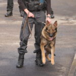 Guide to Police Dog Unit