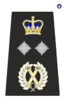 Commissioner Epaulette