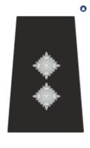 Inspector Epaulette