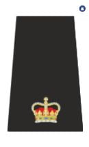 Superintendent Epaulette