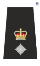 Chief Superintendent Epaulette