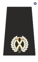 Assistant chief constable Epaulette